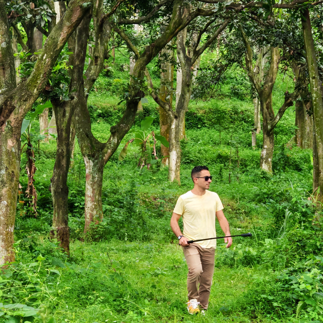 Il fascino intramontabile del legno di teak indonesiano