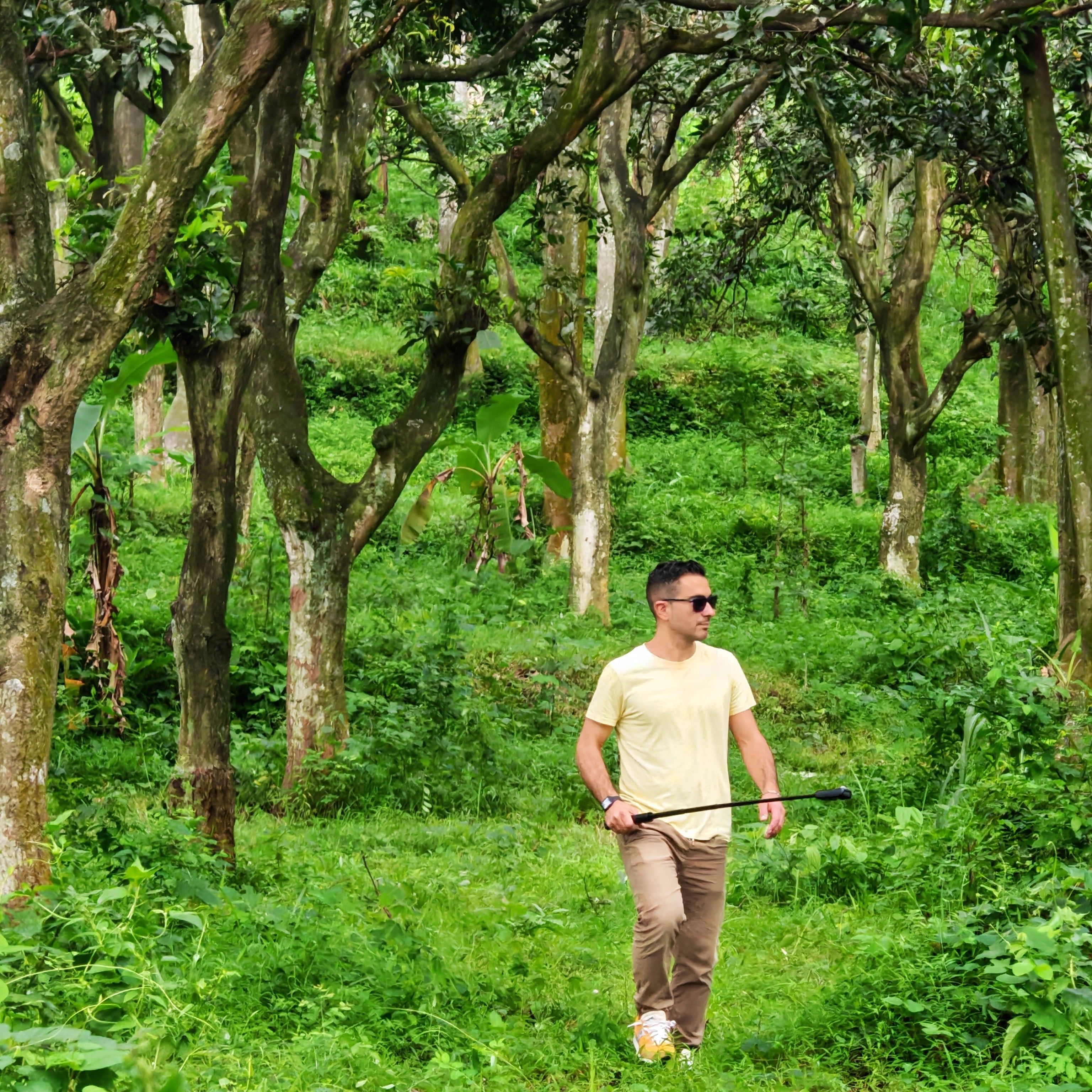 Il fascino intramontabile del legno di teak indonesiano