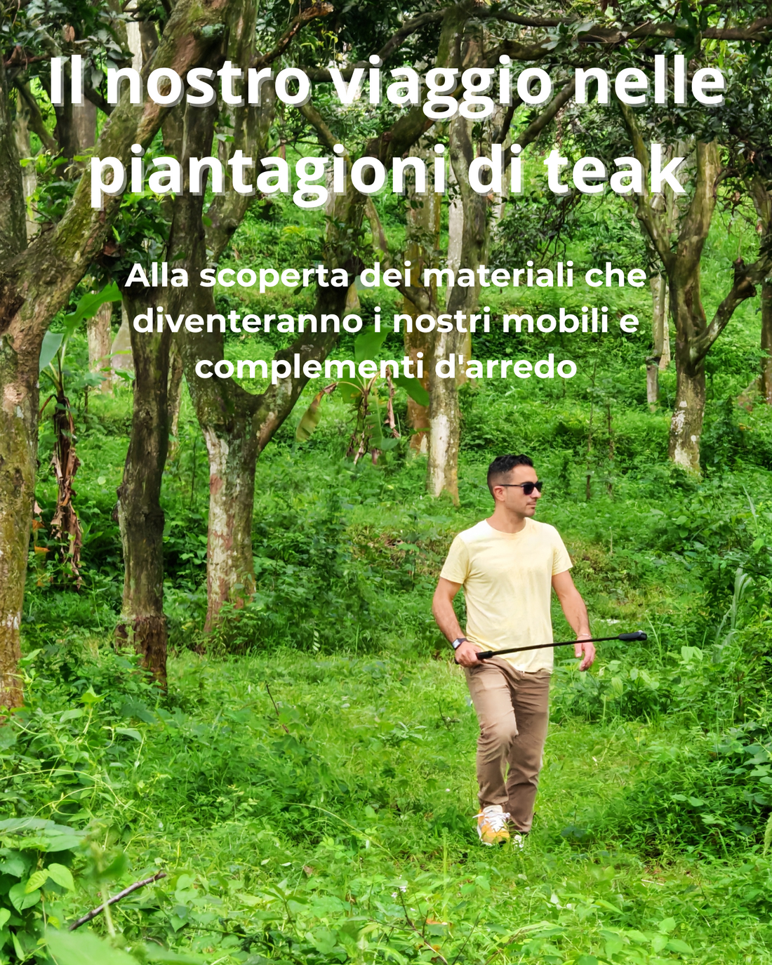 Il fascino intramontabile del legno di teak indonesiano