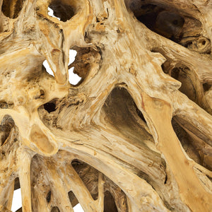 Dettaglio radice di teak naturale, arredo di design sostenibile TEAKé.