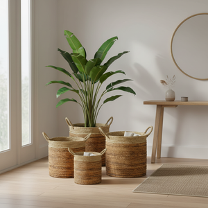 Cesti Raffo all'ingresso con Strelitzia