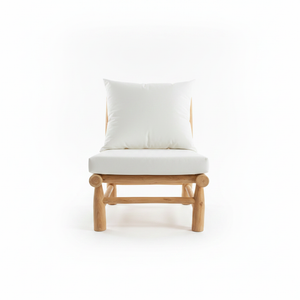 Dylan – Vista frontale