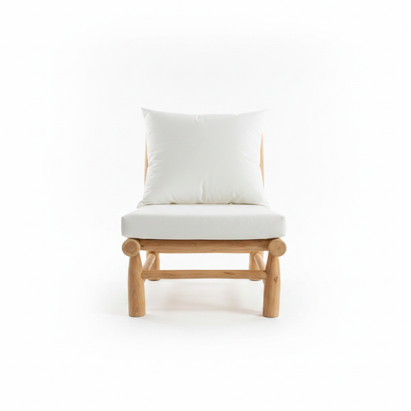 Dylan – Vista frontale