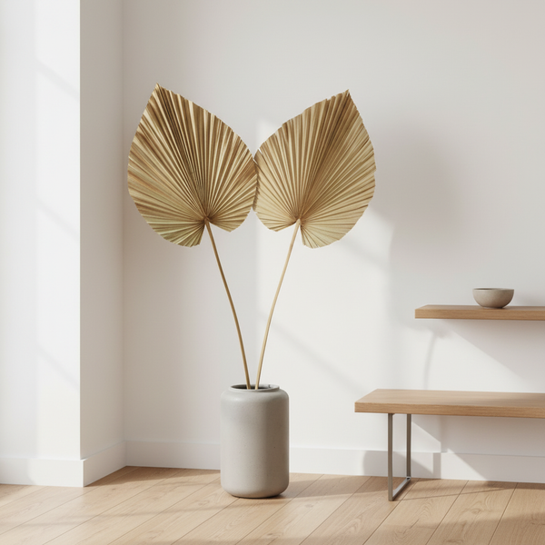 Palem - Angolo minimal