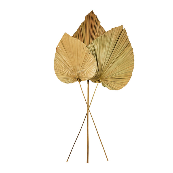 Set 3 Foglie Decorative in foglia di palma essiccata "Palem"