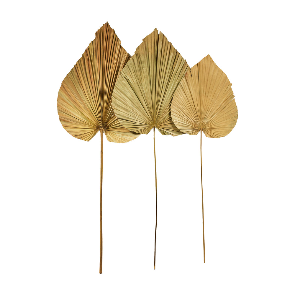 Set 3 Foglie Decorative in foglia di palma essiccata "Palem"